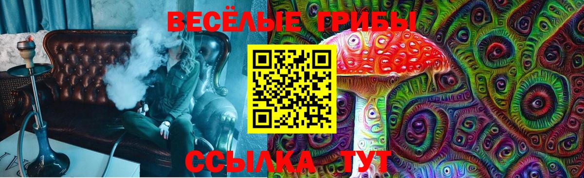 Псилоцибиновые грибы ЛСД Баксан