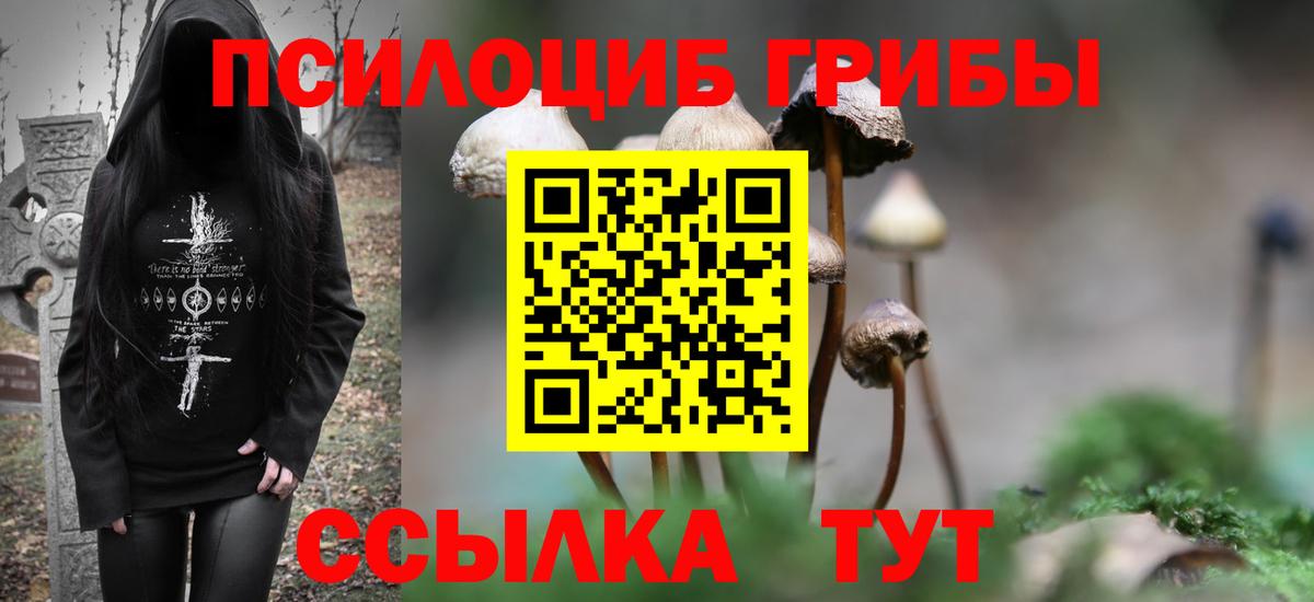 Баксан  Галлюциногенные грибы прущие грибы  Вход с VPN 